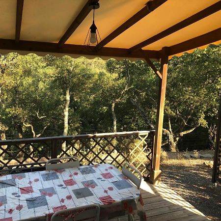 Camping De Parpaillon Roquebrune-sur Argens Luaran gambar