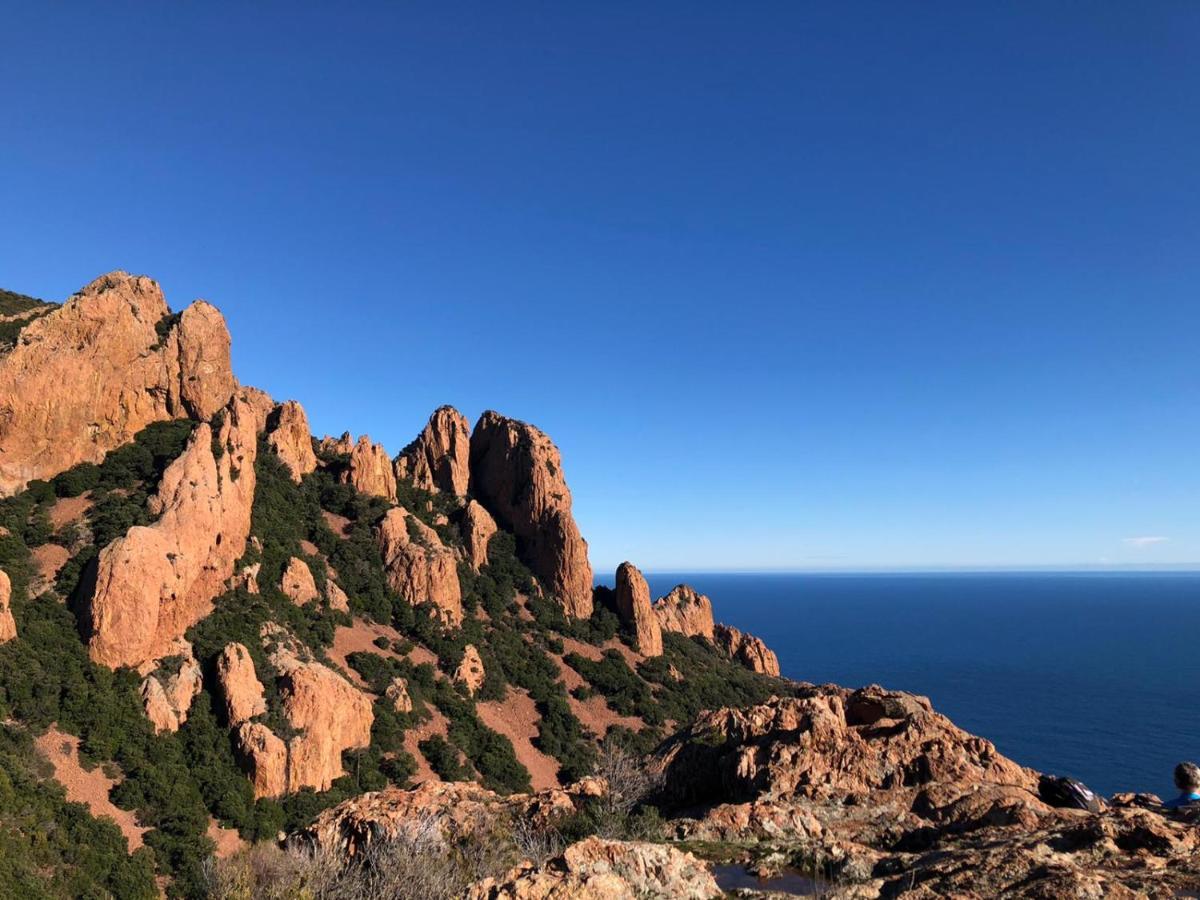 Camping De Parpaillon Roquebrune-sur Argens Luaran gambar