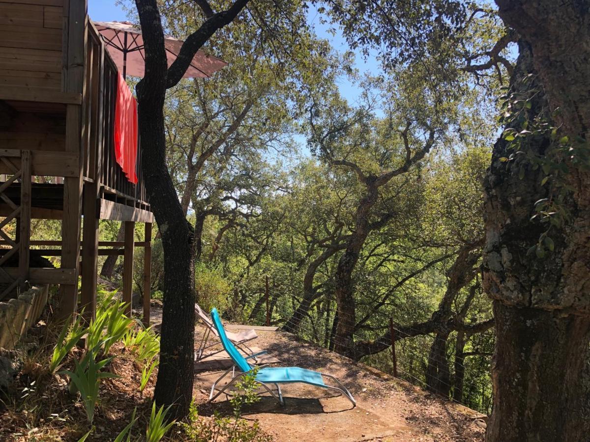 Camping De Parpaillon Roquebrune-sur Argens Luaran gambar